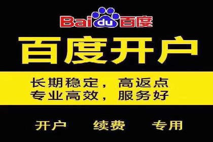 行业领先企业如何通过SEM运营托管实现转化率翻倍